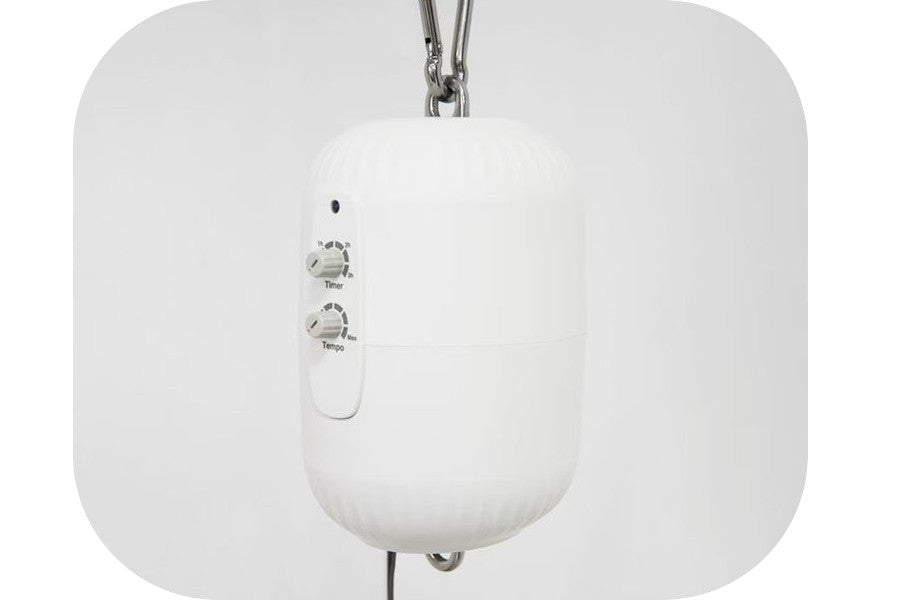motor_no_stand_584e569d-e981-426d-bb8d-5804281dc830